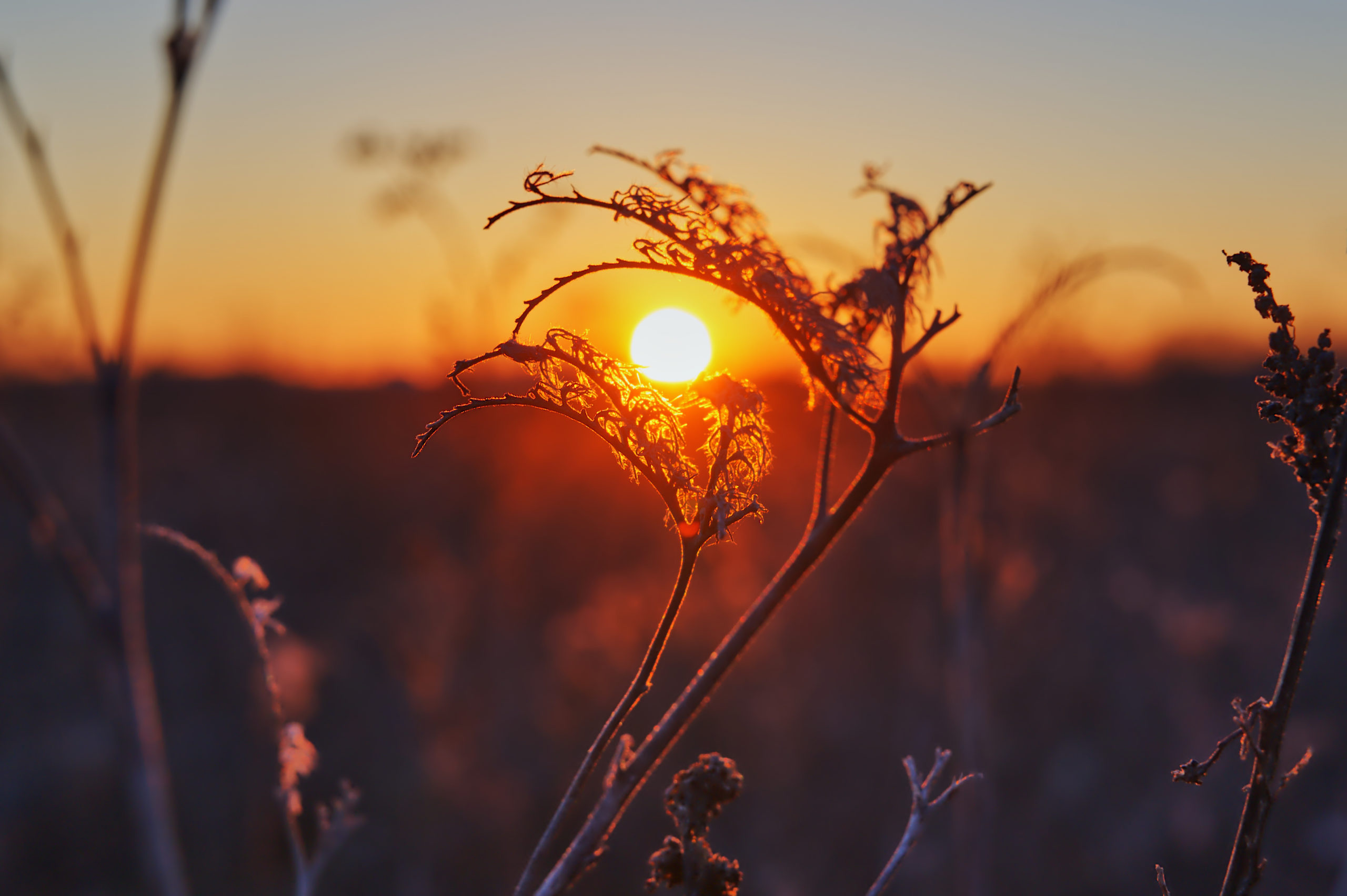 Empfehlungen für einen erholsamen Schlaf Raum & Zeit Yoga, Ayurveda